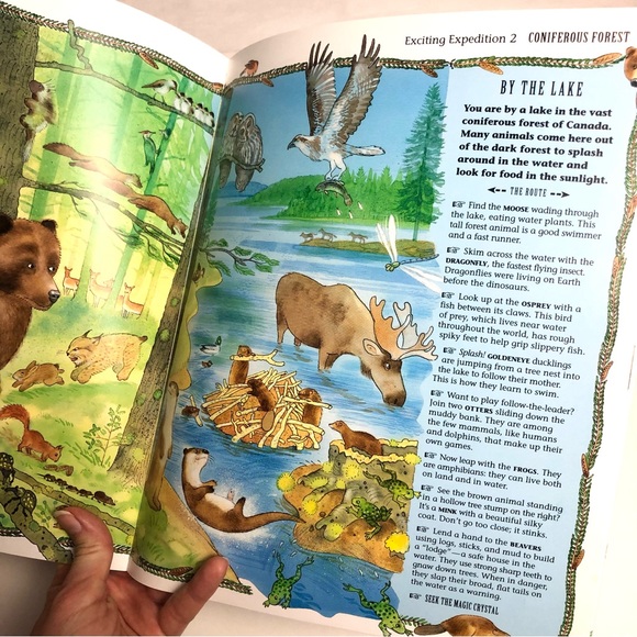 Awesome 90s Vintage Book: The Magic Crystal (A Wildlife Adventure) 1997 Animals - Picture 3 of 6